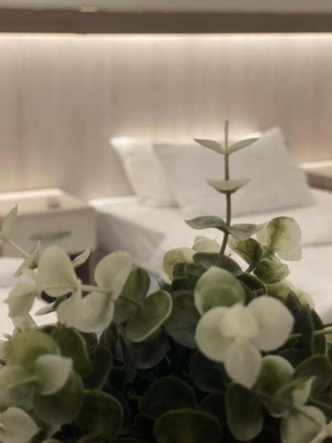Queen Hotel العلا المظهر الخارجي الصورة
